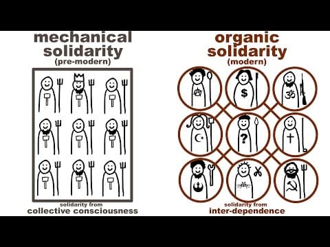 Durkheim's Mechanical and Organic Solidarity: what holds society together? thumbnail