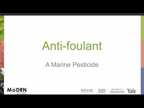 What Are Safer Alternatives to Traditional Marine Pesticides? thumbnail