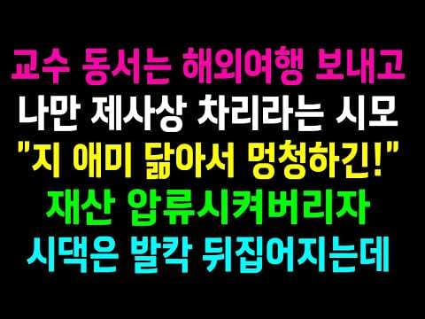 명절 차별과 가족 모욕을 겪은 며느리는 어떻게 시댁의 숨겨진 빚을 추적했나? thumbnail