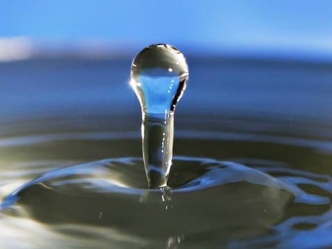 What Makes Water Essential for Life on Earth? thumbnail