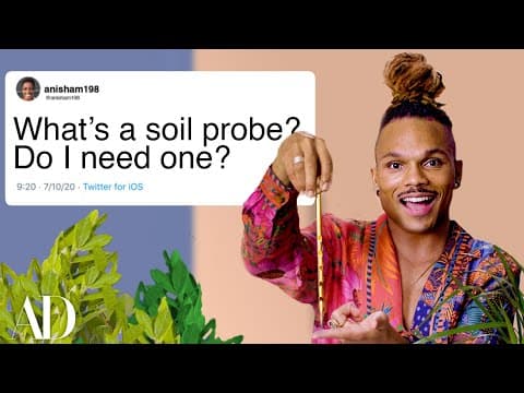 What Are the Best Tips for Houseplant Care? thumbnail
