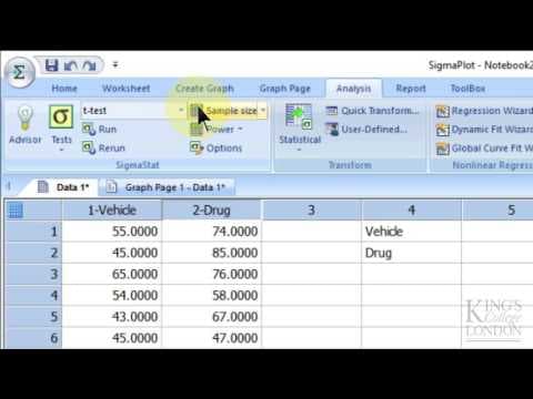 How to Perform a T-Test in SigmaPlot 13 thumbnail