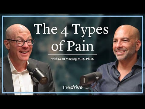 The 4 Types of Pain: What Type of Pain Are You Actually Feeling? | Sean Mackey, M.D., Ph.D. thumbnail