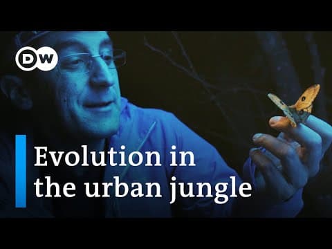 How Do Urban Environments Influence Animal and Plant Adaptation? thumbnail
