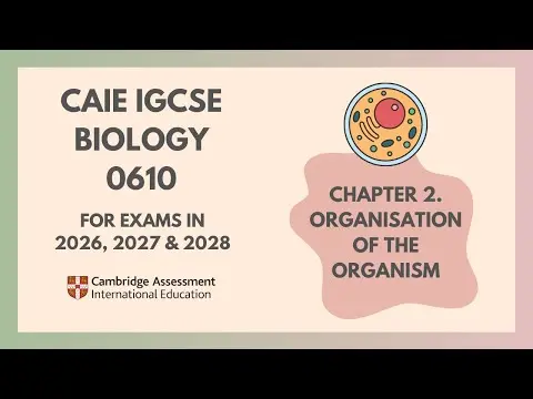2. Organisation of the Organism (Cambridge IGCSE Biology 0610 for exams in 2026, 2027 & 2028) thumbnail