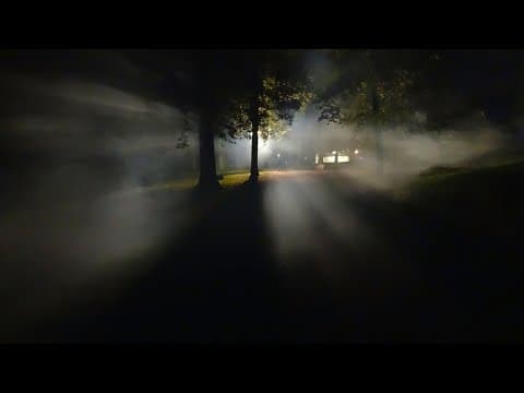 Three Scientific Papers on the UFO Phenomenon thumbnail