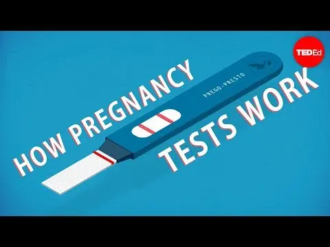 How do pregnancy tests work? - Tien Nguyen thumbnail
