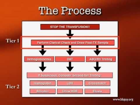 Transfusion Reactions Part 1 thumbnail