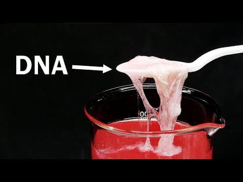 How to Extract and Taste DNA from Strawberries thumbnail