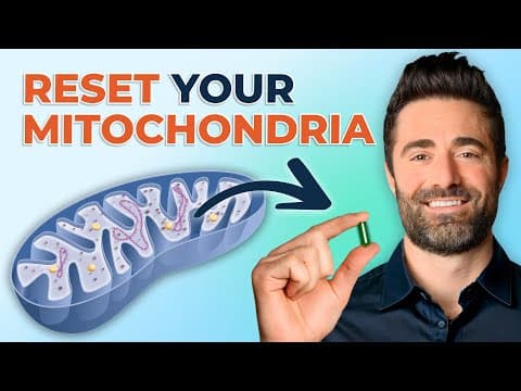 Experts Share Top Treatments For Mitochondrial Health & Longevity thumbnail