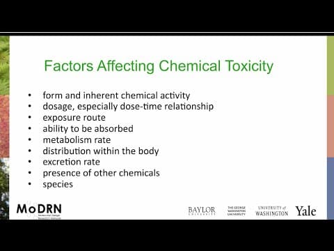 What Factors Affect Chemical Toxicity in the Body? thumbnail