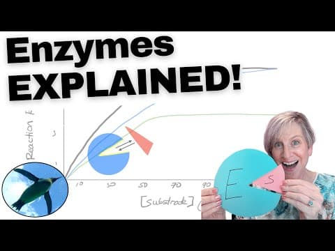 How Do Enzymes Regulate Reactions? thumbnail