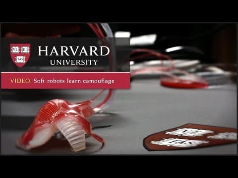 Harvard researchers demonstrate soft robot camouflage system thumbnail