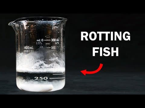 How to Synthesize Trimethylamine and Control Its Odor thumbnail