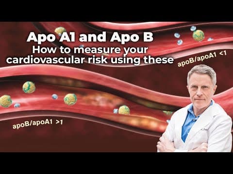 Apo A1 & Apo B: How to Measure Your Cardiovascular Risk Using These 2 thumbnail