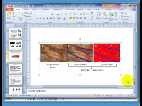 How to Combine Graphs and Graphics Using GraphPad Prism thumbnail