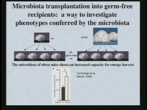 The World Within Us: Microbes That Help and Harm thumbnail