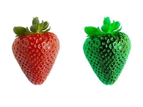 What Is the Explanatory Gap in Color Perception? thumbnail