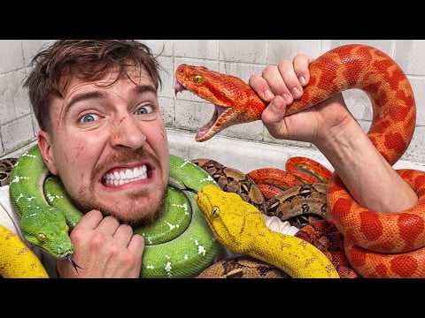 What Happens When MrBeast Pays People to Face Fears? thumbnail