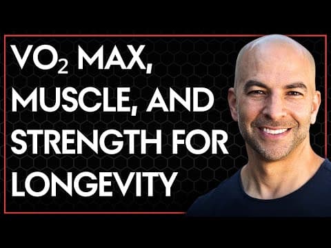 The importance of VO2 max, muscle mass, and muscular strength for lifespan thumbnail