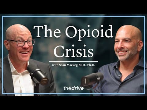 The Opioid Crisis: The Perfect Storm | Sean Mackey, M.D., Ph.D. thumbnail