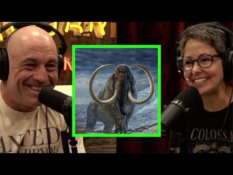 Plans to Bring Back the Woolly Mammoth and Other Extinct Animals thumbnail