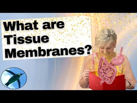 What Are the Types of Tissue Membranes in the Body? thumbnail