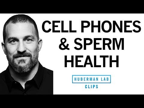 Cell Phones & EMFs Reduce Sperm Health & Testosterone | Dr. Andrew Huberman thumbnail