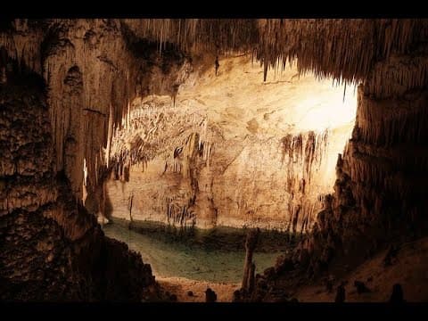 The Deep Biospheres thumbnail