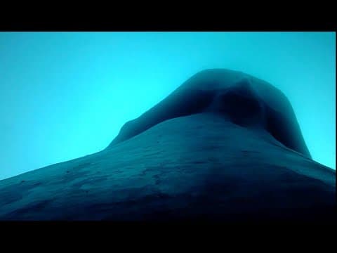 Stanford researchers report first recording of blue whale heart rate thumbnail