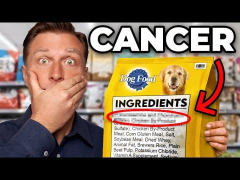 The Worst Dog Food in the World thumbnail
