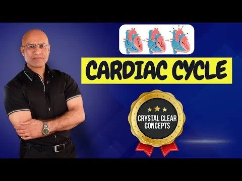 Cardiac Cycle | Cardiology | Systole & Diastole | Cardiovascular🫀 thumbnail