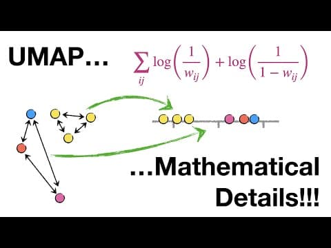 What Is UMAP and How Does It Transform Data? thumbnail