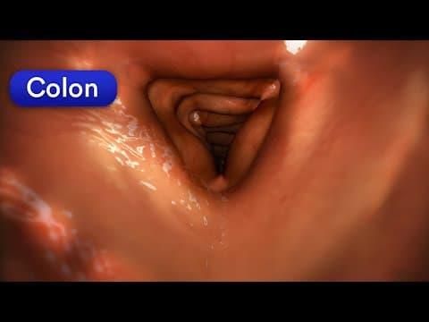 The #1 Way to UNCLOG Your Colon Fast thumbnail