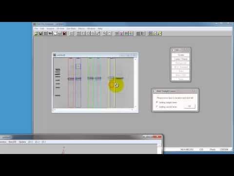 GelPro 3.1 simple analysis thumbnail