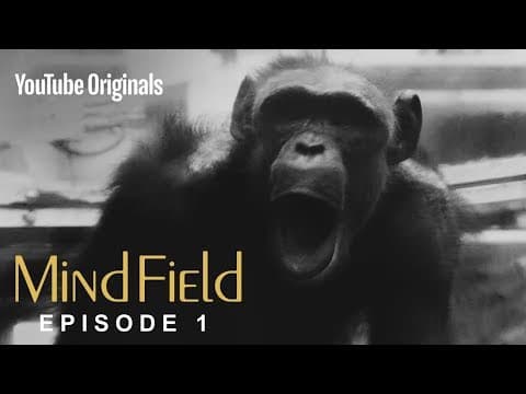 Why Do Chimpanzees Outperform Humans in Memory? thumbnail