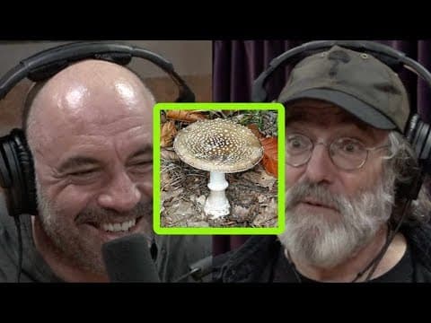 Paul Stamets Describes Bad Trip on Incredibly Dangerous Mushroom thumbnail