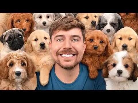 How to Successfully Adopt Out 100 Rescued Dogs thumbnail