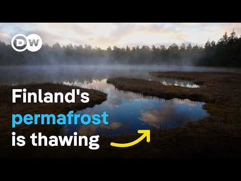 Melting wetlands - How can nature slow down climate change? | DW Documentary thumbnail