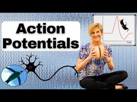 What Is the Process of Action Potentials? thumbnail