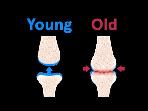How Your Body Ages From Head to Toe | WIRED thumbnail