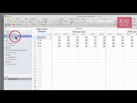 How to Use the Wand Tool in GraphPad Prism for Data Analysis thumbnail