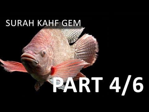 How Patience Shapes the Pursuit of Knowledge thumbnail