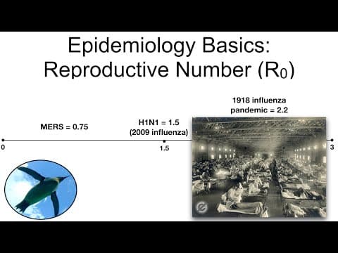 What Is R Naught (R0) and Why Is It Important? thumbnail