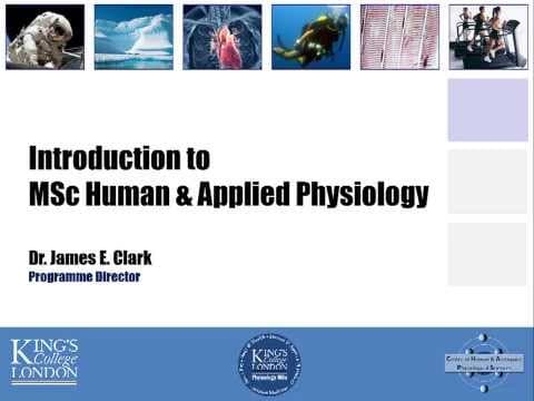 What Is the MSc in Human & Applied Physiology at KCL? thumbnail