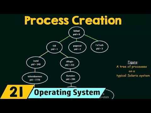 Operation on Processes – Process Creation thumbnail