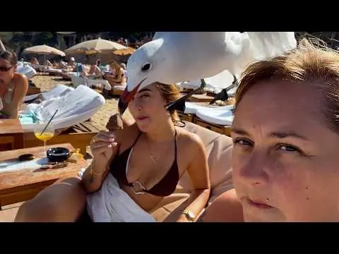 Viral Idiots Compilation | Best Fails of the Week thumbnail