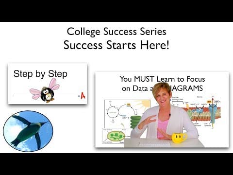 Success Starts Here! thumbnail