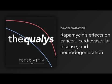 How Does Rapamycin Affect Age-Related Diseases? thumbnail