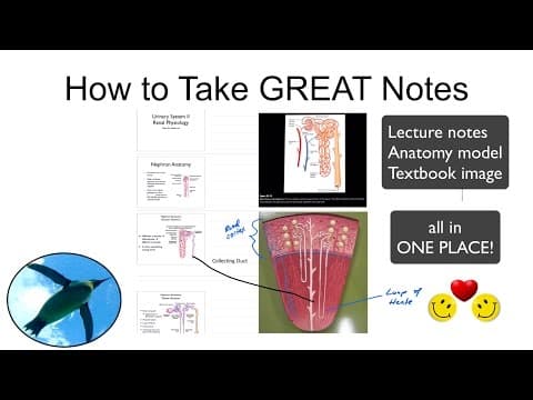 How to Take GREAT Notes thumbnail